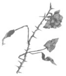 Иллюстрация к книге — Свет в твоей душе [book-illustration-25.webp]