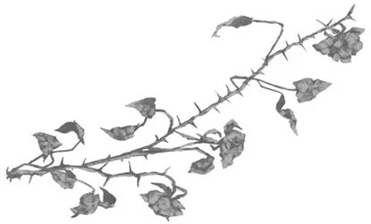 Иллюстрация к книге — Свет в твоей душе [book-illustration-3.webp]