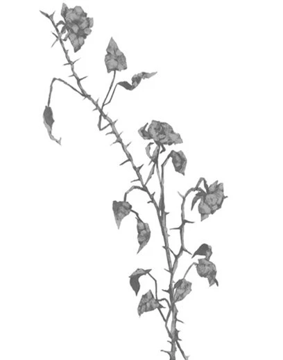 Иллюстрация к книге — Свет в твоей душе [book-illustration-36.webp]