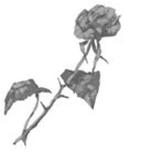 Иллюстрация к книге — Свет в твоей душе [book-illustration-37.webp]