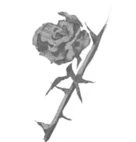 Иллюстрация к книге — Свет в твоей душе [book-illustration-39.webp]