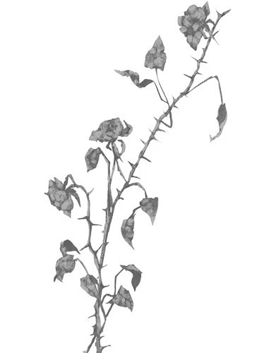 Иллюстрация к книге — Свет в твоей душе [book-illustration-46.webp]