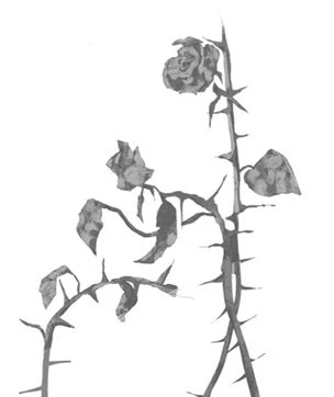 Иллюстрация к книге — Свет в твоей душе [book-illustration-48.webp]