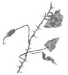 Иллюстрация к книге — Свет в твоей душе [book-illustration-53.webp]