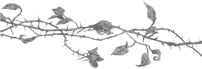 Иллюстрация к книге — Свет в твоей душе [book-illustration-57.webp]