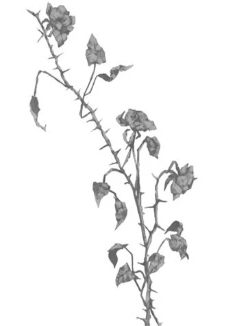 Иллюстрация к книге — Свет в твоей душе [book-illustration-9.webp]