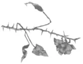 Иллюстрация к книге — Грех в твоей крови [book-illustration-10.webp]