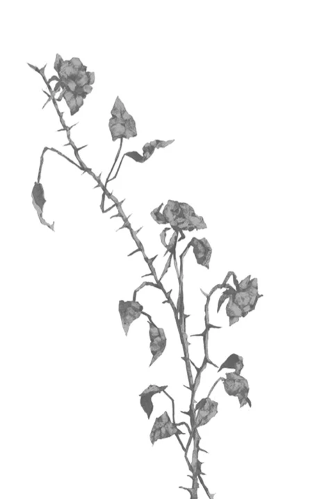 Иллюстрация к книге — Грех в твоей крови [book-illustration-18.webp]