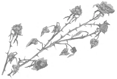 Иллюстрация к книге — Грех в твоей крови [book-illustration-45.webp]