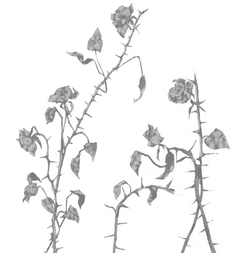 Иллюстрация к книге — Грех в твоей крови [book-illustration-47.webp]