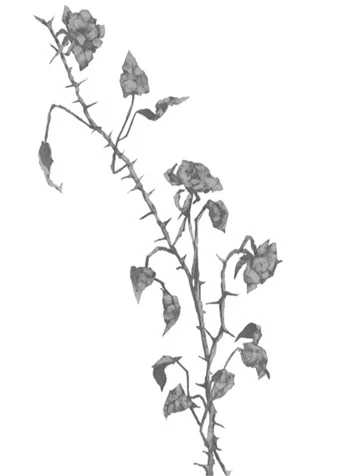 Иллюстрация к книге — Грех в твоей крови [book-illustration-8.webp]