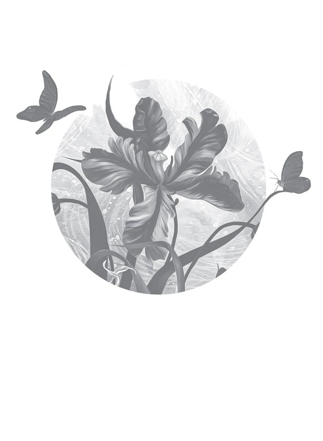 Иллюстрация к книге — Сокрушая ночь [book-illustration.webp]