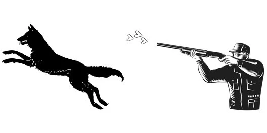 Иллюстрация к книге — Порочная луна [book-illustration-2.webp]