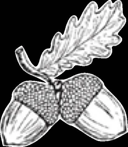 Иллюстрация к книге — Полукровка [book-illustration-12.webp]