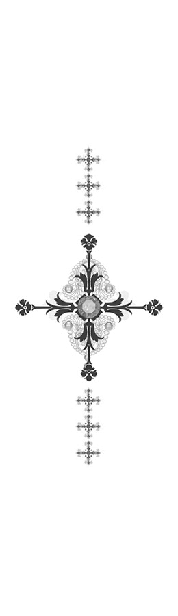 Иллюстрация к книге — Она и зверь. Том 1 [book-illustration.webp]