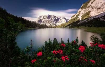 Иллюстрация к книге — Искушение Фрейи [book-illustration-29.webp]