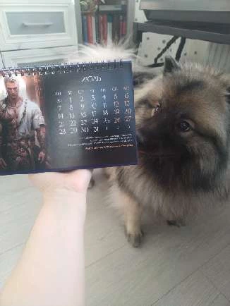 Иллюстрация к книге — Искушение Фрейи [book-illustration-60.webp]