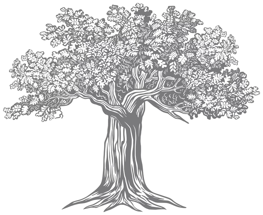 Иллюстрация к книге — Библиотека Остролиста [book-illustration-4.webp]