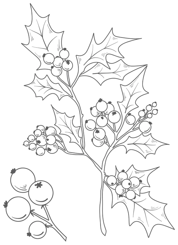 Иллюстрация к книге — Библиотека Остролиста [book-illustration-5.webp]