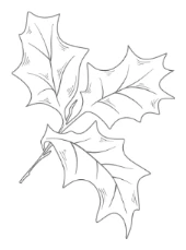 Иллюстрация к книге — Библиотека Остролиста [book-illustration-8.webp]