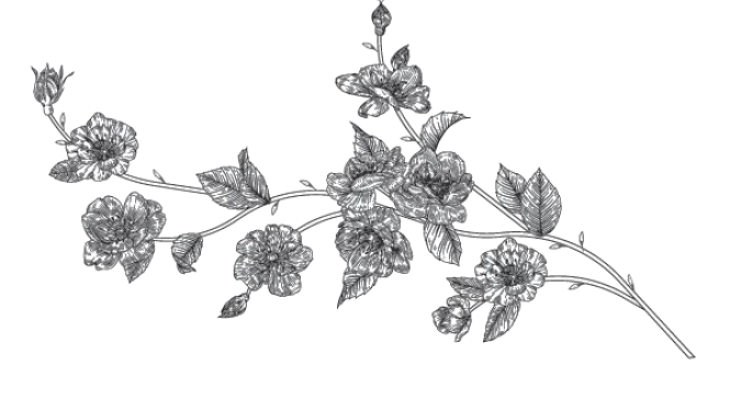 Иллюстрация к книге — Доктор Грант [book-illustration-2.webp]