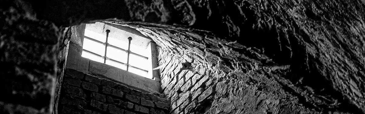 Иллюстрация к книге — Ибо однажды придёт к тебе шуршик… [book-illustration-20.webp]