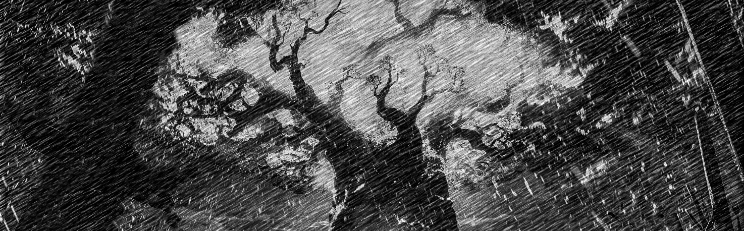 Иллюстрация к книге — Ибо однажды придёт к тебе шуршик… [book-illustration-28.webp]