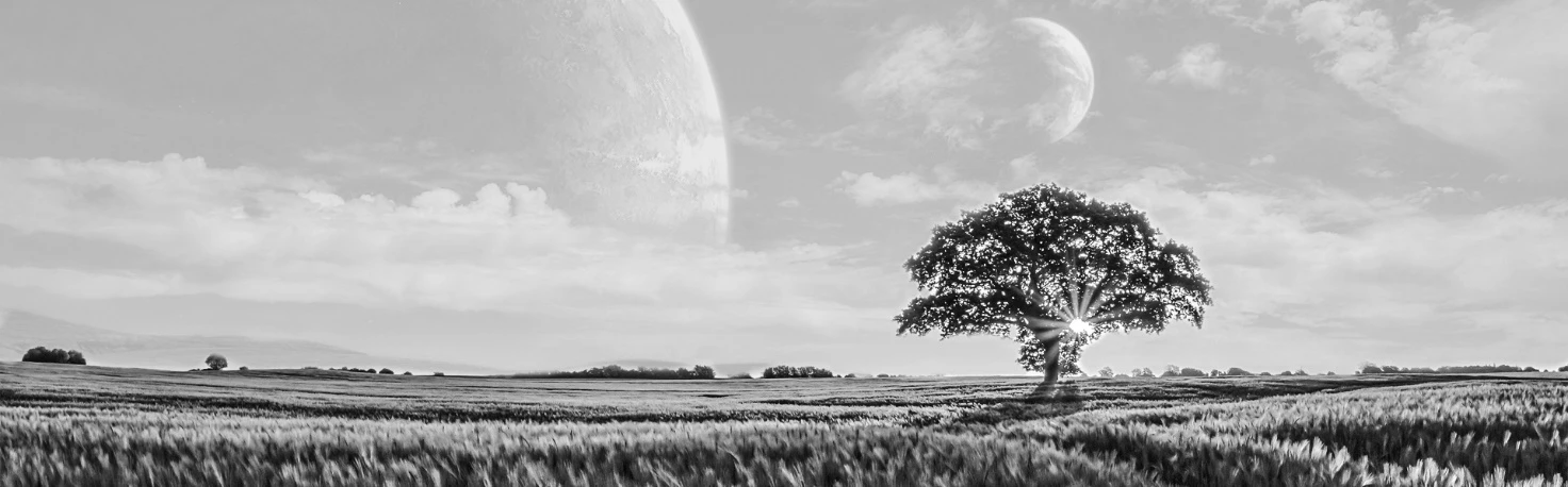 Иллюстрация к книге — Ибо однажды придёт к тебе шуршик… [book-illustration-30.webp]