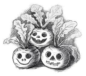 Иллюстрация к книге — Солнце, уснувшее в ладонях ведьмы [book-illustration-32.webp]