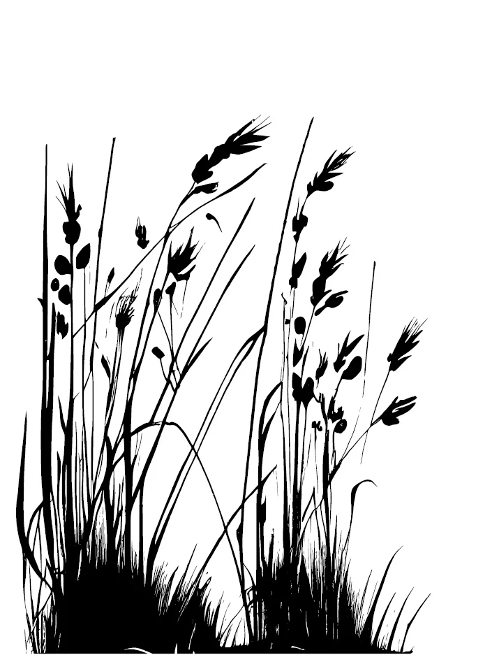 Иллюстрация к книге — Аир. Хозяин болота [book-illustration-10.webp]