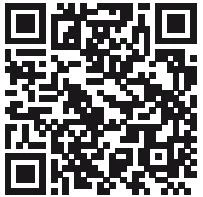 Иллюстрация к книге — Тьма в объятиях света [book-illustration-14.webp]