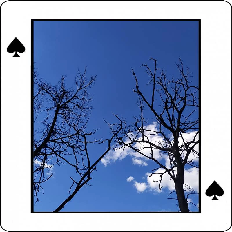 Иллюстрация к книге — Как карта ляжет. Пики [book-illustration-3.webp]