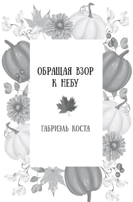 Иллюстрация к книге — Осень. Латте. Любовь [i_007.webp]