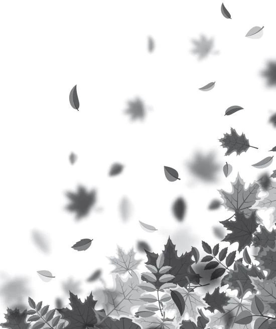 Иллюстрация к книге — Осень. Латте. Любовь [i_013.webp]