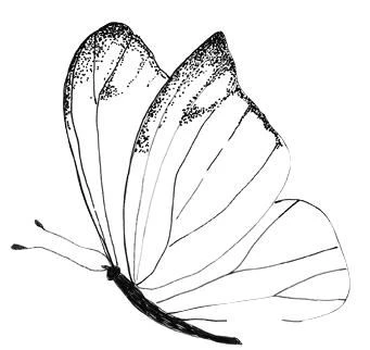 Иллюстрация к книге — Мои французские каникулы [i_019.webp]