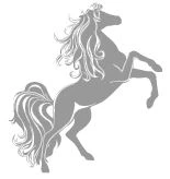 Иллюстрация к книге — Тайна стоптанных башмачков [i_010.webp]