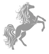 Иллюстрация к книге — Тайна стоптанных башмачков [i_025.webp]