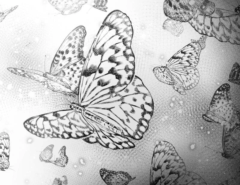 Иллюстрация к книге — Океан и Архитектор [i_002.webp]