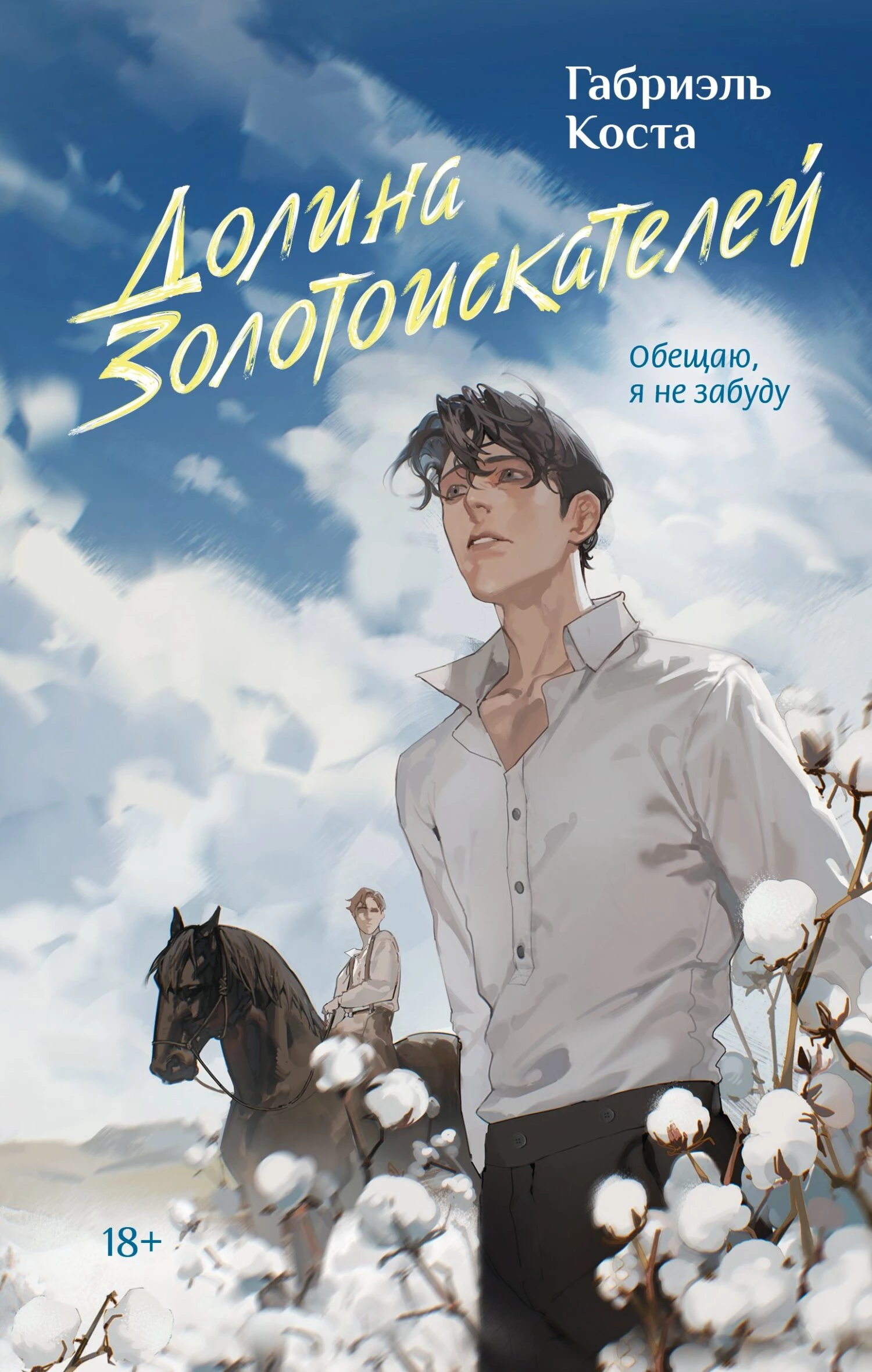 Книга Долина золотоискателей