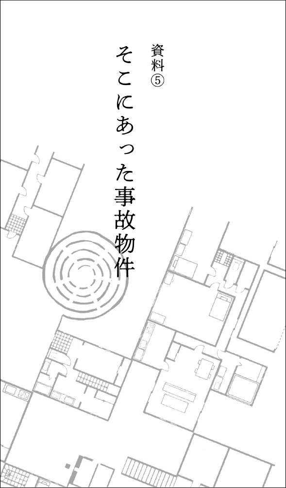 Иллюстрация к книге — Странный дом 2 [i_053.webp]