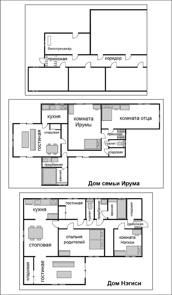 Иллюстрация к книге — Странный дом 2 [i_171.webp]
