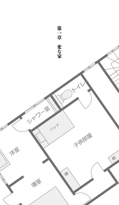 Иллюстрация к книге — Странный дом [i_005.webp]