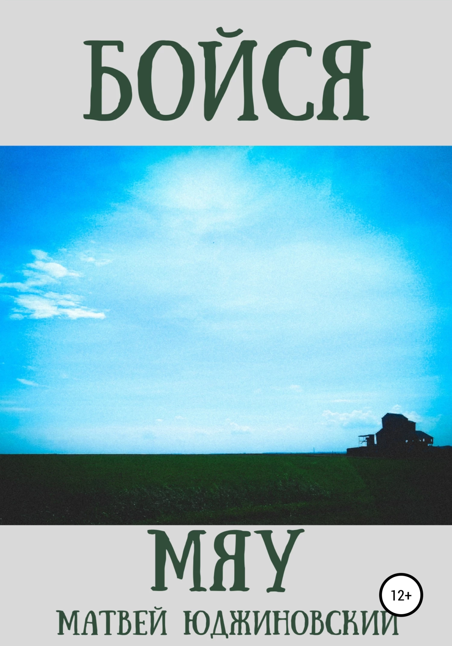 Книга Бойся мяу