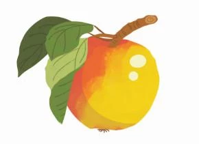 Иллюстрация к книге — Приключения дракона и кота. Большое путешествие [i_011.webp]