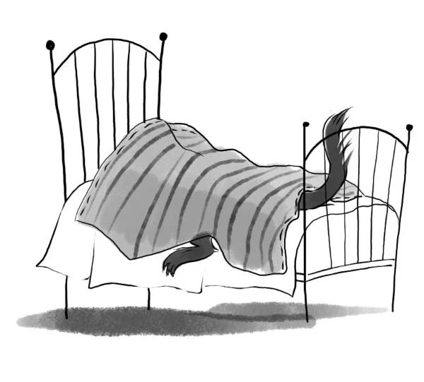 Иллюстрация к книге — Пиковая дама, выходи! Новые криповые истории [i_012.webp]