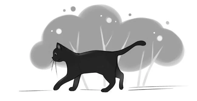 Иллюстрация к книге — Пиковая дама, выходи! Новые криповые истории [i_065.webp]