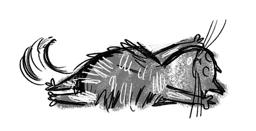 Иллюстрация к книге — Удивительные истории про собак, котов и даже хомяков [i_007.webp]