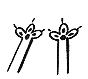 Иллюстрация к книге — Удивительные истории про собак, котов и даже хомяков [i_010.webp]