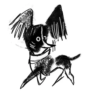 Иллюстрация к книге — Удивительные истории про собак, котов и даже хомяков [i_020.webp]