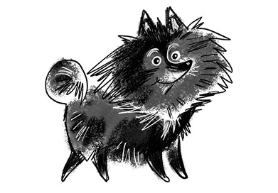 Иллюстрация к книге — Удивительные истории про собак, котов и даже хомяков [i_025.webp]